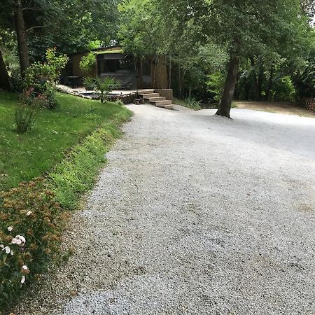 Bus Atypique Au Bord Du Canal Du Midi Et Au Coeur D'Une Foret 2 Chambres Villepinte  Bagian luar foto