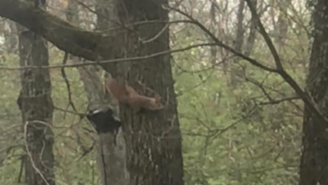 Bus Atypique Au Bord Du Canal Du Midi Et Au Coeur D'Une Foret 2 Chambres Villepinte  Bagian luar foto