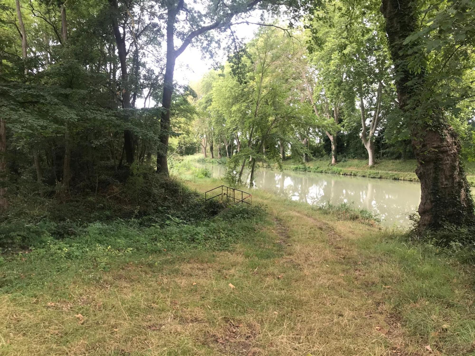 Bus Atypique Au Bord Du Canal Du Midi Et Au Coeur D'Une Foret 2 Chambres Villepinte  Bagian luar foto
