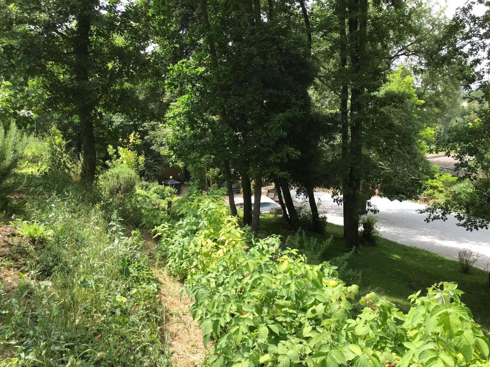 Bus Atypique Au Bord Du Canal Du Midi Et Au Coeur D'Une Foret 2 Chambres Villepinte  Bagian luar foto