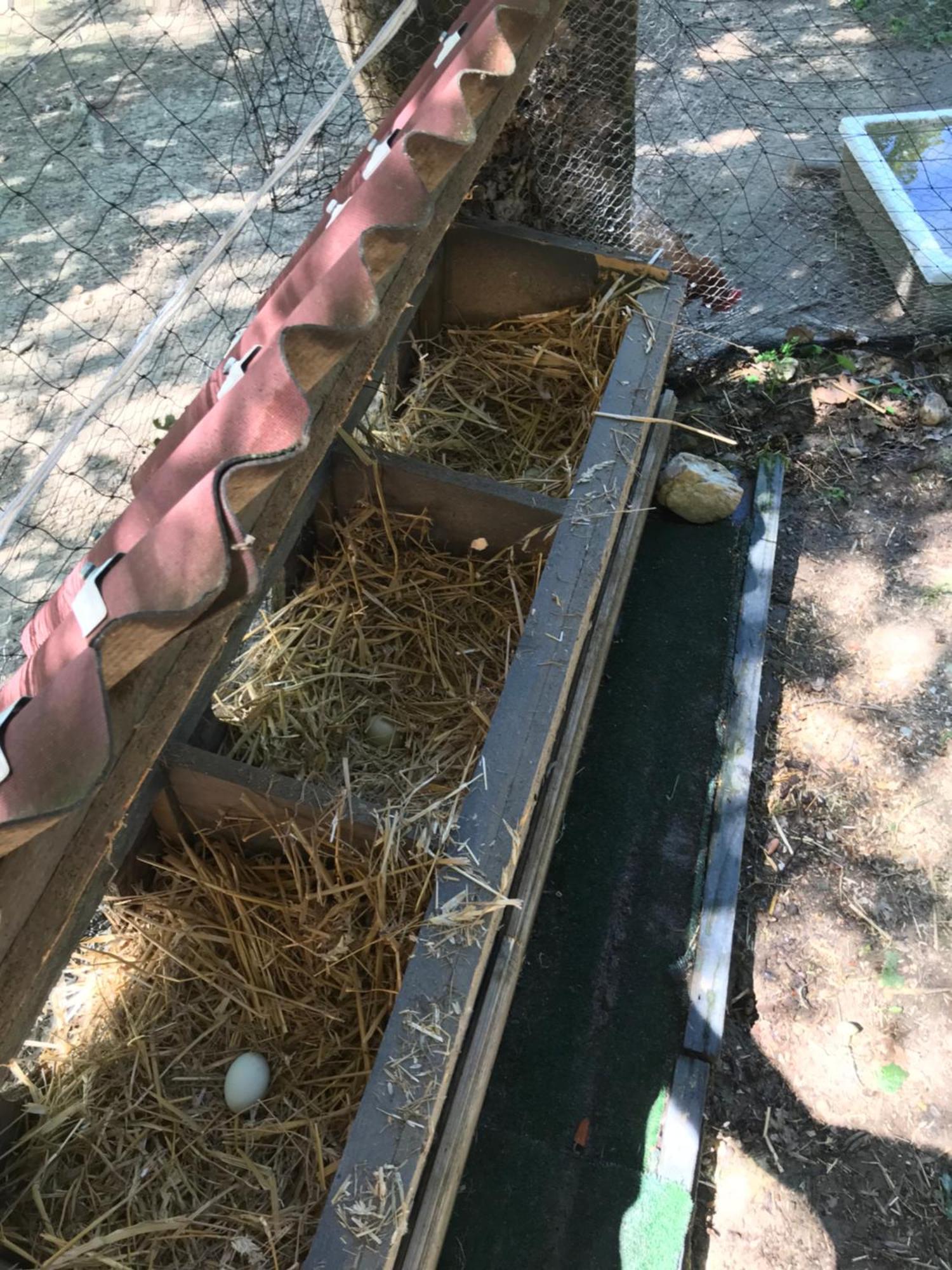 Bus Atypique Au Bord Du Canal Du Midi Et Au Coeur D'Une Foret 2 Chambres Villepinte  Bagian luar foto