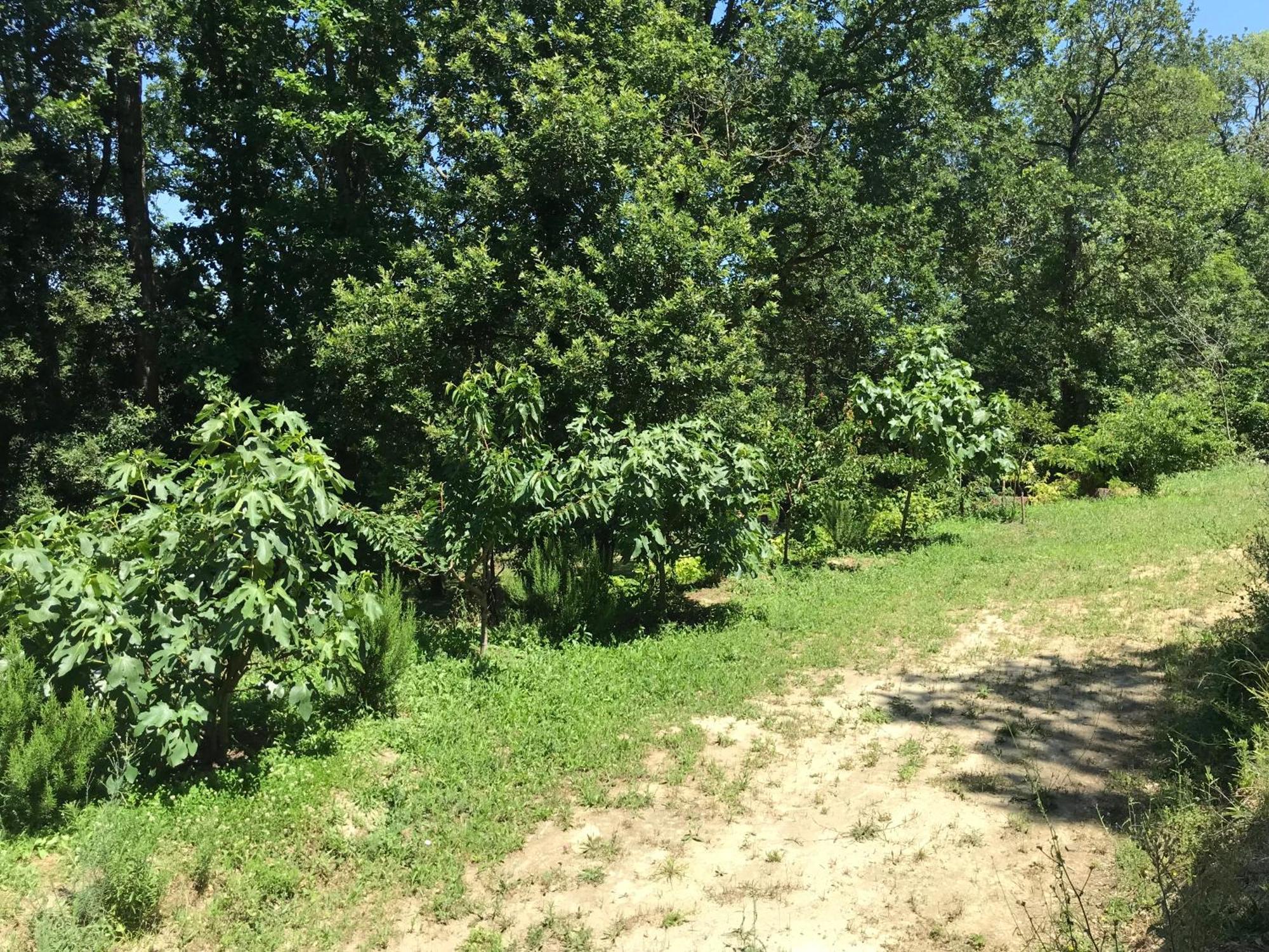 Bus Atypique Au Bord Du Canal Du Midi Et Au Coeur D'Une Foret 2 Chambres Villepinte  Bagian luar foto