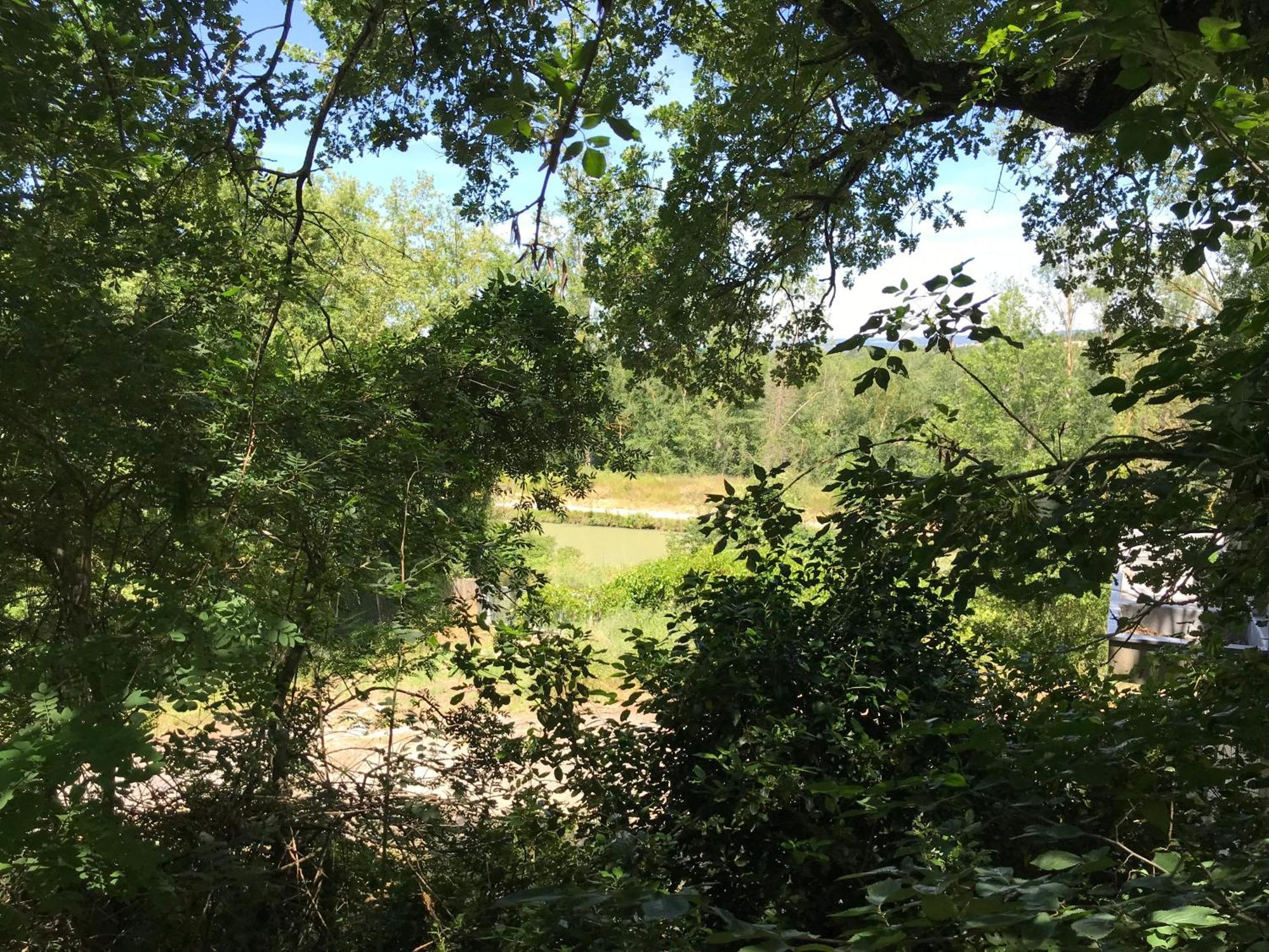 Bus Atypique Au Bord Du Canal Du Midi Et Au Coeur D'Une Foret 2 Chambres Villepinte  Bagian luar foto